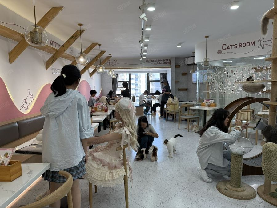 青秀区商铺 非中介转让（或招租）朝阳市中心国贸a座精装修宠物咖啡馆 实景图