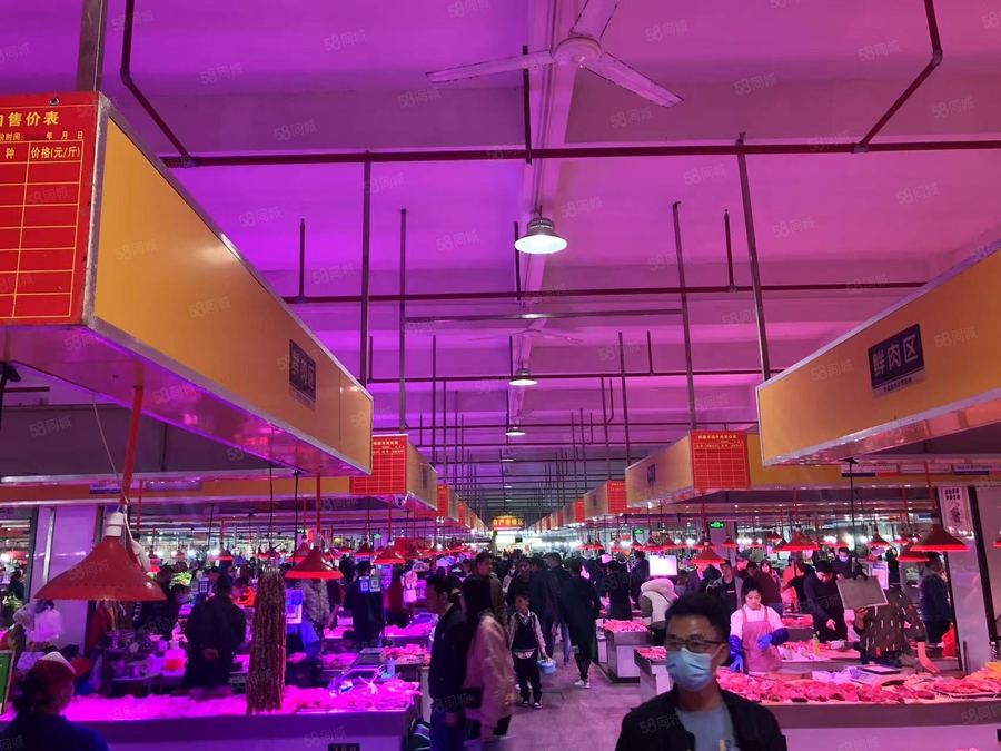 西乡塘区科园大道商铺 20年超旺大型农贸市场 老菜市场升级 冰鲜冻品摊 人流密集 实景图