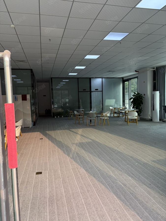 江南区星光大道商铺 开发商直租,免租6个月,招茶室,电商直播,办公展厅,有停车位 实景图