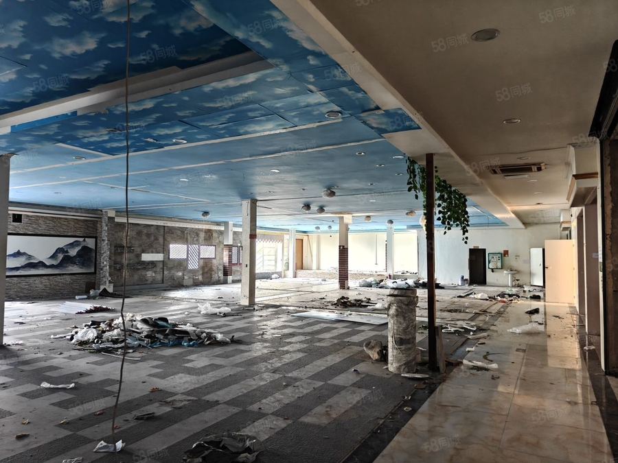 江南区星光大道商铺 平西夜市临街商铺招租 行业不限 面积可选 随时看房 实景图
