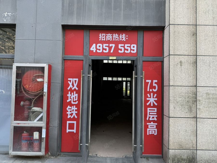 江南区星光大道商铺 服装工作室,养生馆,茶叶店,办公接待,江南区铺面出租 实景图