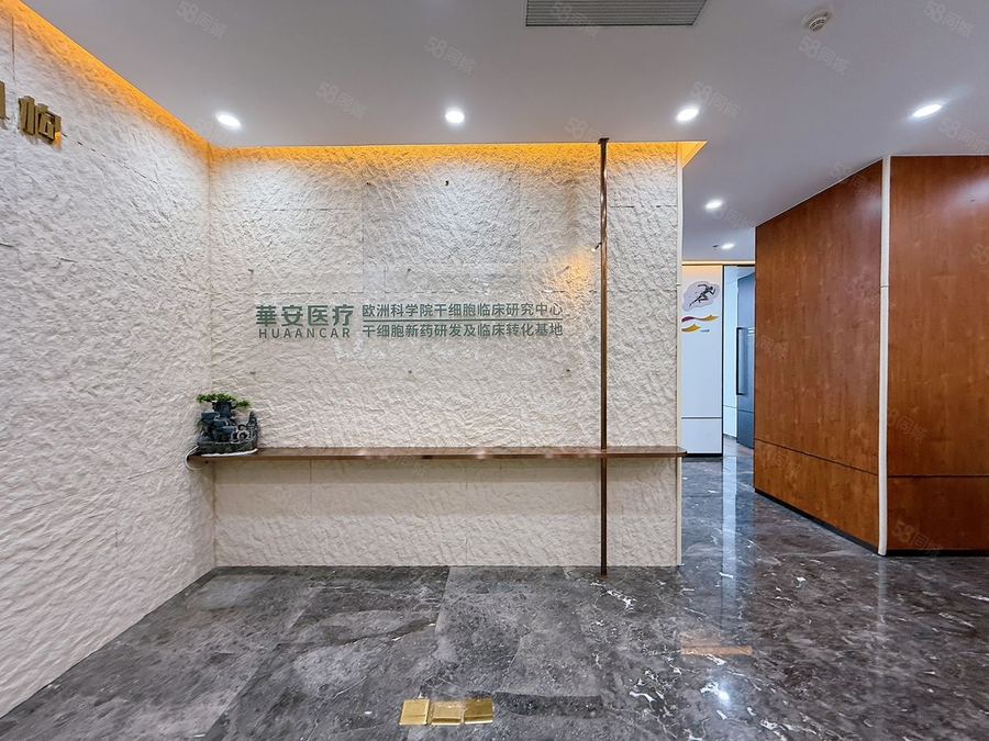 青秀区东盟商务写字楼 华润大厦410平电梯口户型，7隔间配齐家具，拎包办公即租即用 实景图