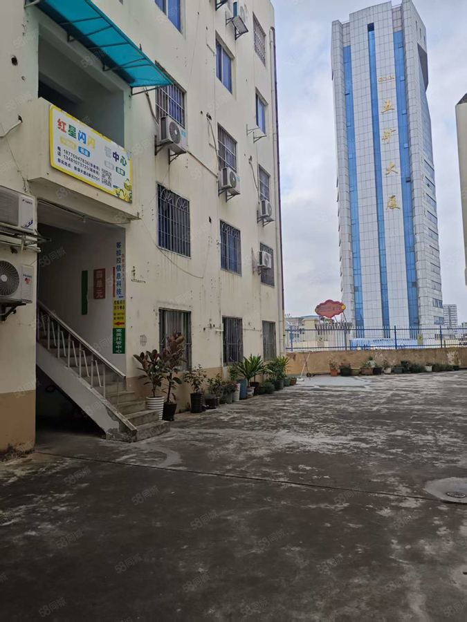 青秀区建政商铺 青秀区东葛园湖路口商住两用办公室招租 实景图