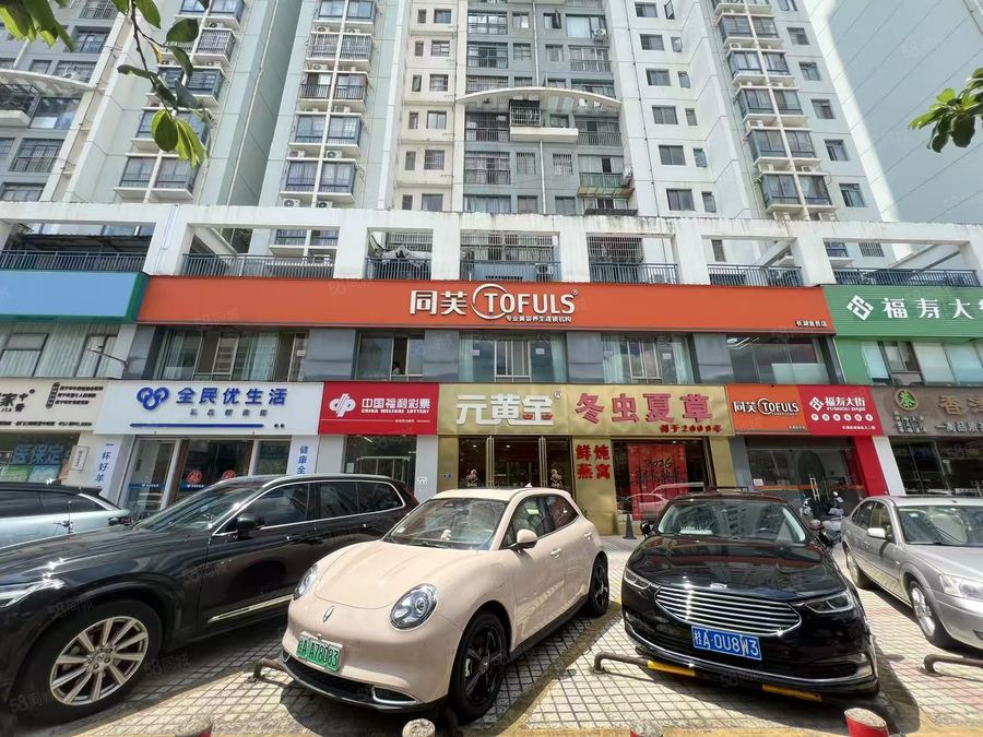 青秀区东葛路商铺 南湖商圈铺面做美容棋牌办公茶室教育培训都可 实景图